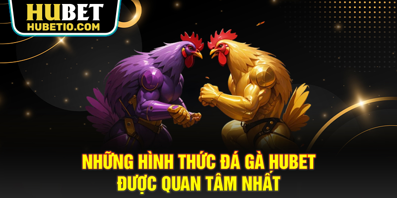 Những hình thức Đá gà HUBET được quan tâm nhất