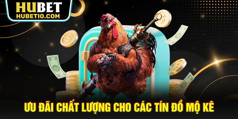 Ưu đãi chất lượng cho các tín đồ mộ kê